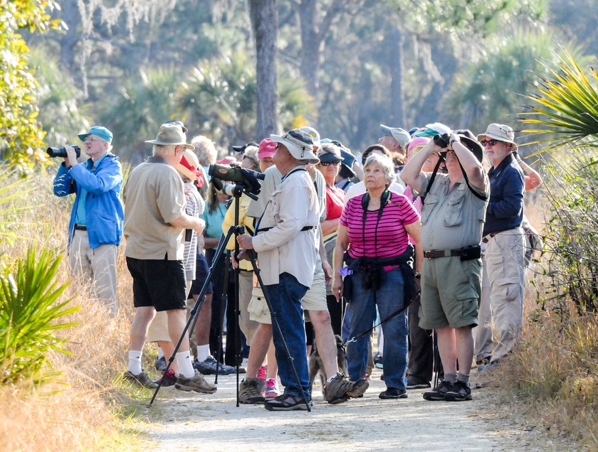 Grandparents bird watching www.overindulgence.info